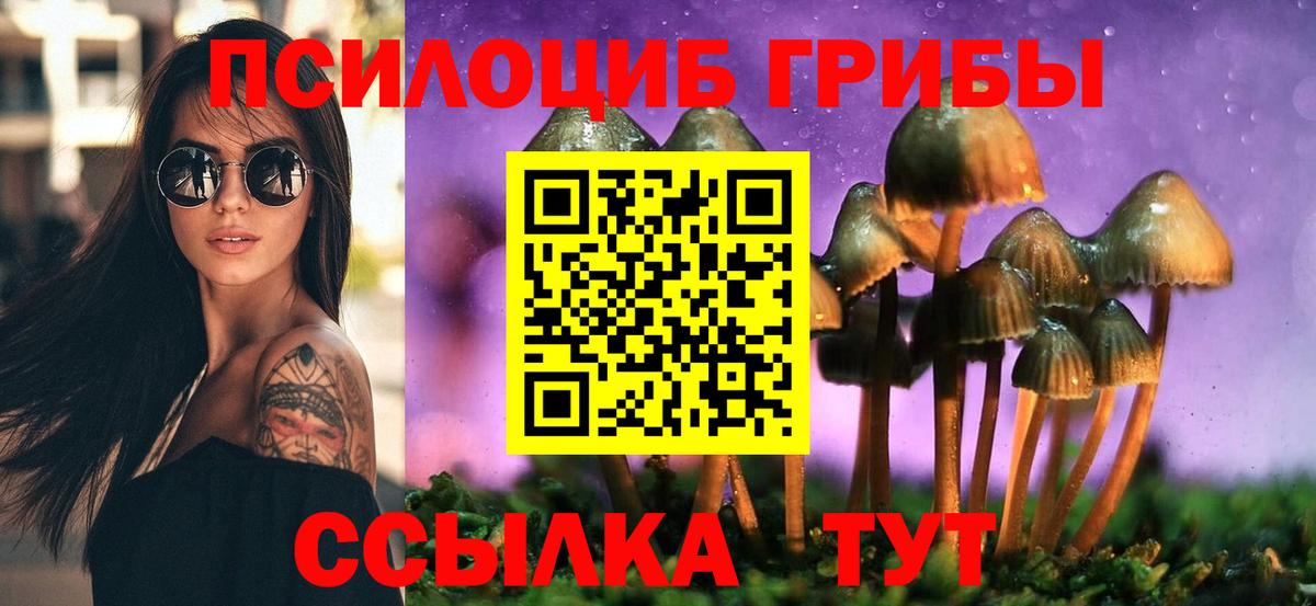 Псилоцибиновые грибы Чехов