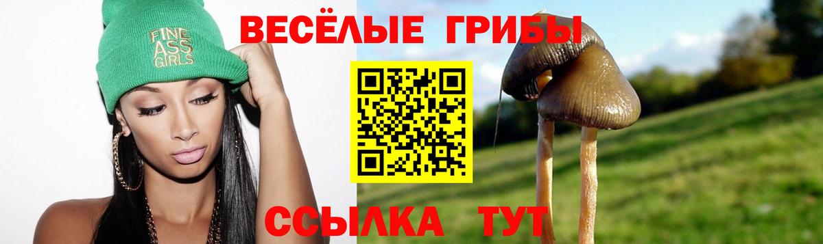 Галлюциногенные грибы мухоморы  цена наркотик  Чехов  Вход с VPN  Псилоцибиновые грибы GOLDEN TEACHER 